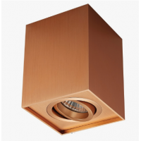 spotexbronze
